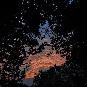 男男GayFuCK激情酒店
